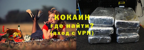 индика Алексеевка