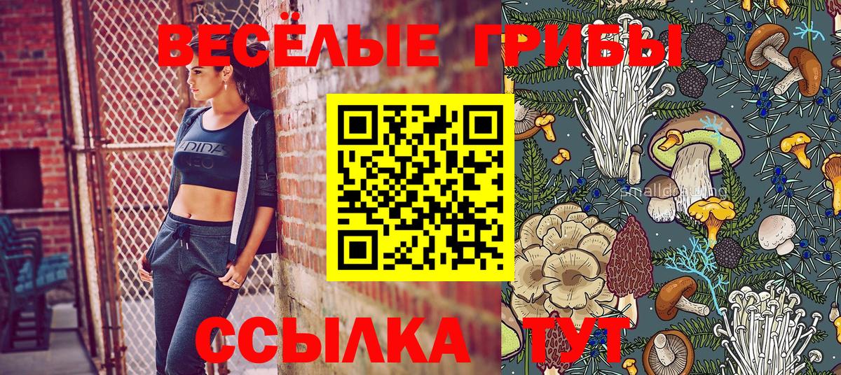 Галлюциногенные грибы Magic Shrooms  Псилоцибиновые грибы ЛСД  Ипатово  Вход с VPN 