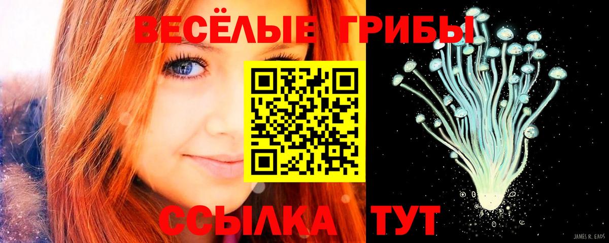 Псилоцибиновые грибы ЛСД Ипатово